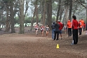 130831 USF-XC-Invite-054